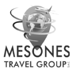 mesones logo tiny gray